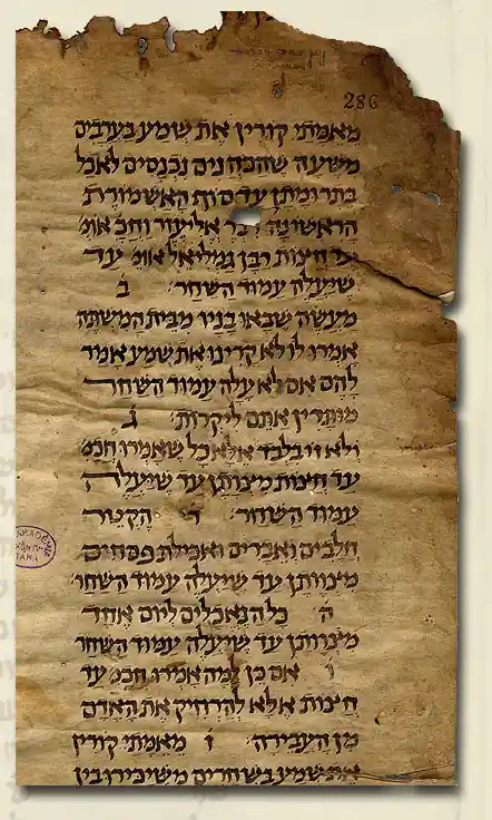 https://commons.wikimedia.org/wiki/File:MS_Kaufmann_A_50.jpg