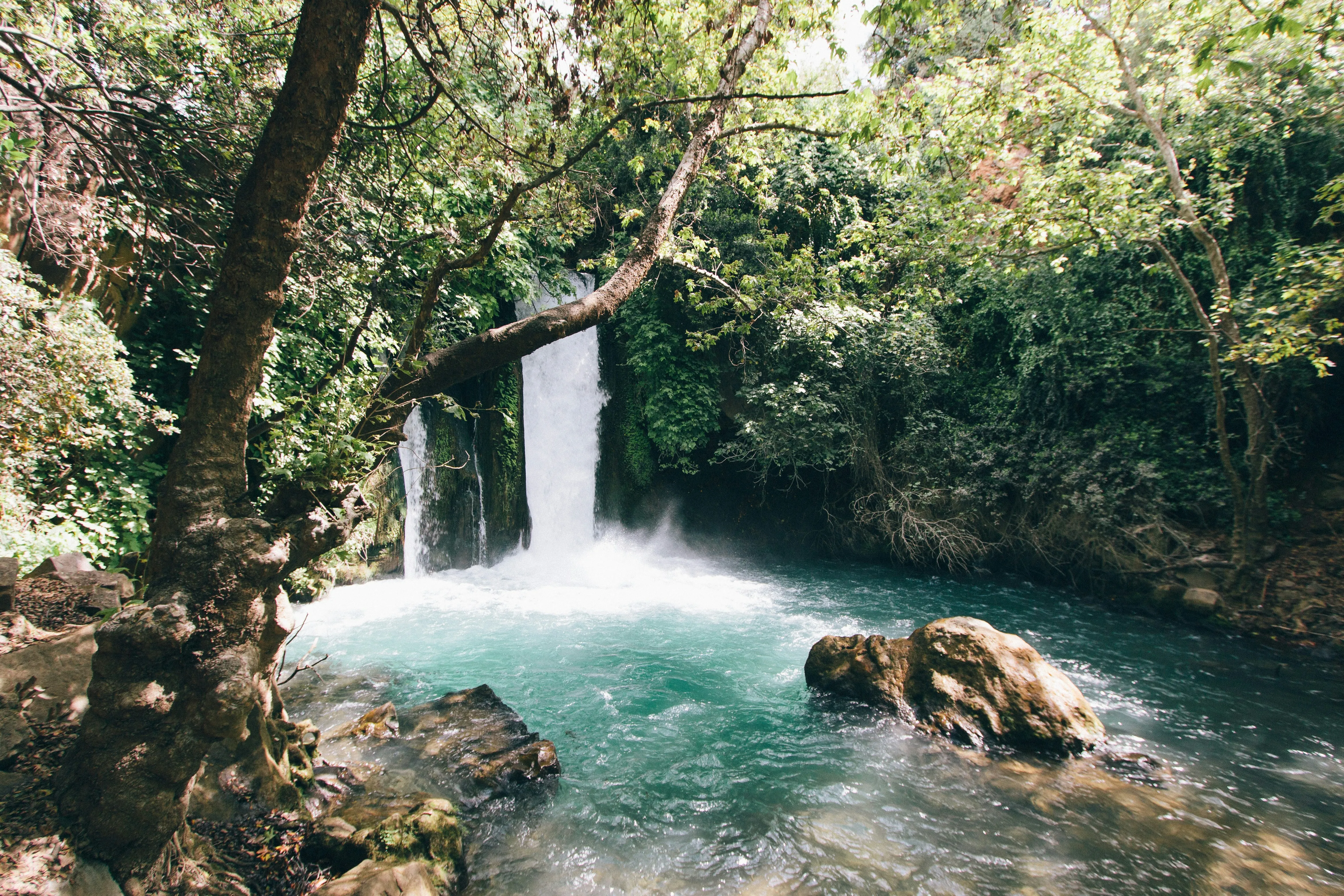 Ein Gedi landscape