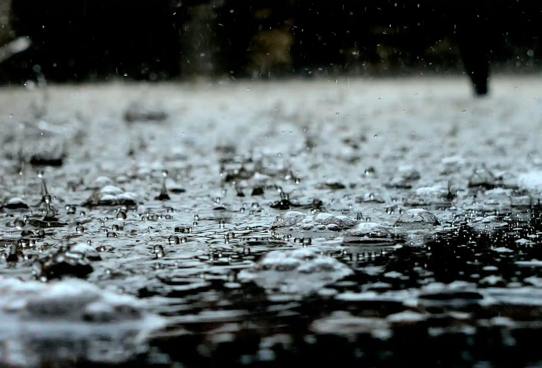<a href="https://www.pexels.com/photo/rain-drops-459451/">Photo by Pixabay on Pexels</a>