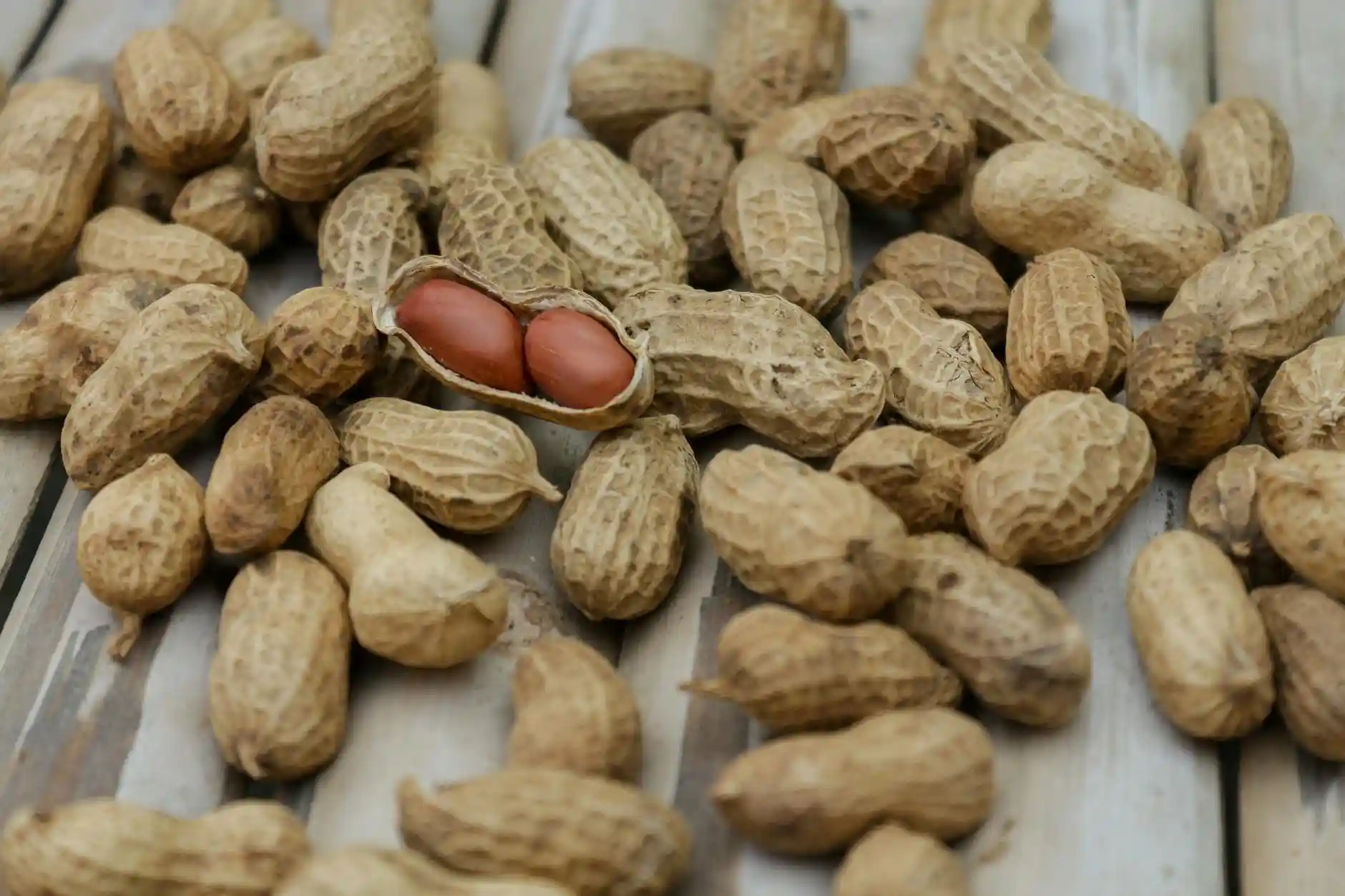 <a href="https://www.pexels.com/photo/close-up-photo-of-peanuts-135755/">Photo by shattha pilabut on Pexels</a>