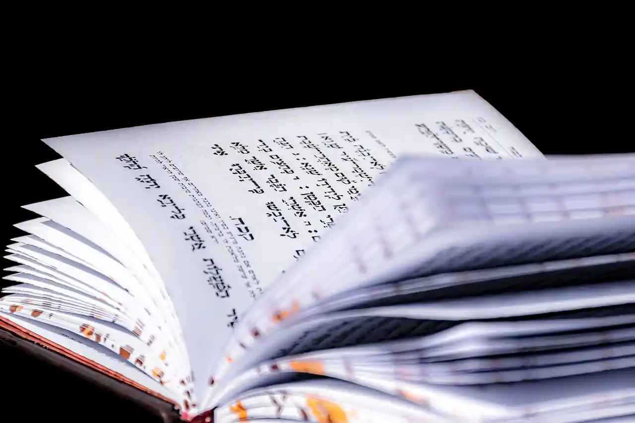 <a href="https://pixabay.com/photos/siddur-prayer-book-book-4579452/">Photo by Ri_Ya on Pixabay</a>